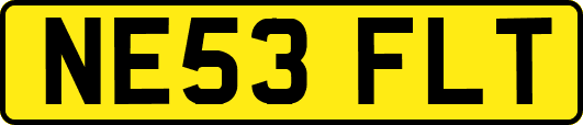 NE53FLT