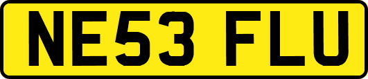 NE53FLU