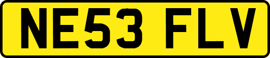 NE53FLV