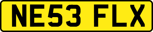 NE53FLX