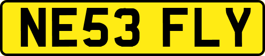 NE53FLY