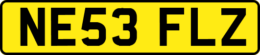 NE53FLZ