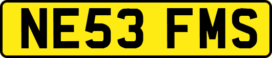 NE53FMS