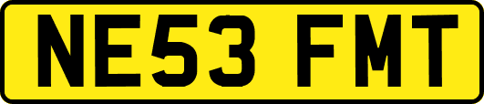 NE53FMT