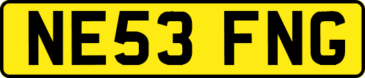 NE53FNG