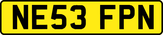 NE53FPN