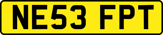 NE53FPT