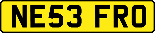 NE53FRO