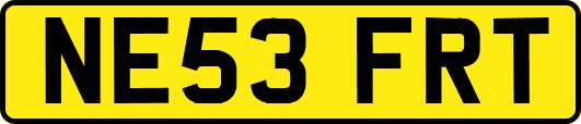 NE53FRT