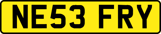 NE53FRY