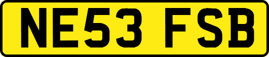 NE53FSB