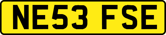NE53FSE
