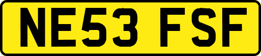 NE53FSF