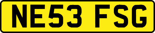NE53FSG