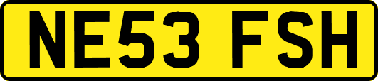 NE53FSH