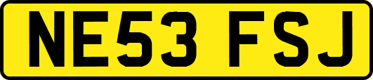 NE53FSJ