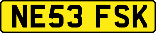 NE53FSK
