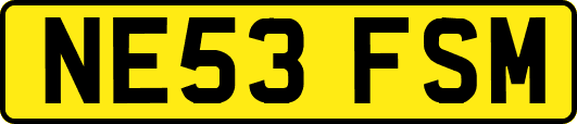 NE53FSM