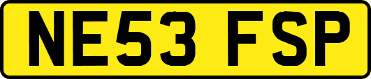 NE53FSP