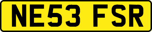 NE53FSR