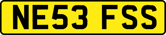 NE53FSS