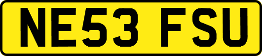 NE53FSU