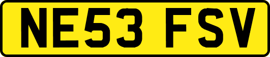 NE53FSV