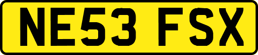 NE53FSX