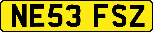 NE53FSZ