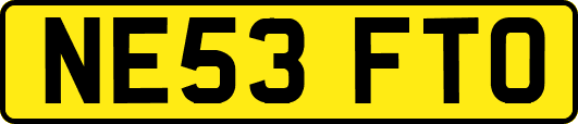 NE53FTO