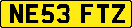 NE53FTZ