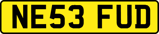 NE53FUD