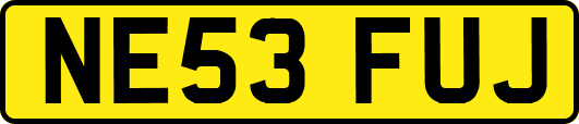 NE53FUJ
