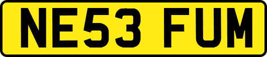 NE53FUM