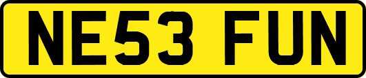 NE53FUN