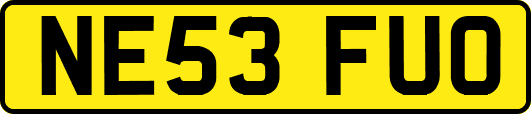 NE53FUO