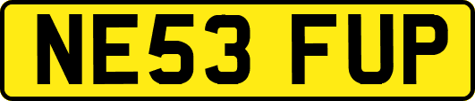 NE53FUP