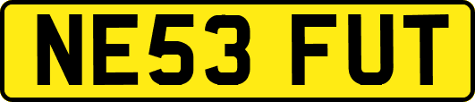 NE53FUT