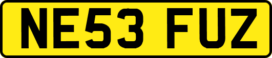 NE53FUZ