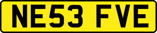 NE53FVE