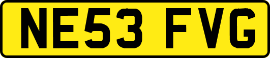 NE53FVG