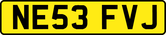 NE53FVJ