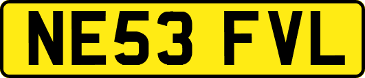 NE53FVL