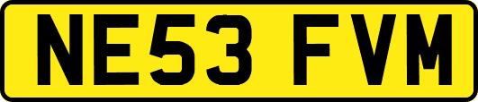 NE53FVM