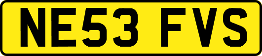 NE53FVS