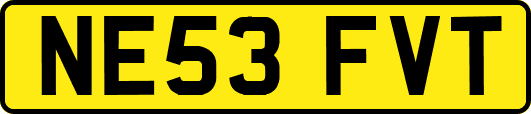 NE53FVT