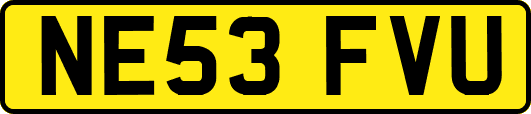 NE53FVU