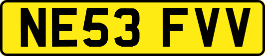 NE53FVV