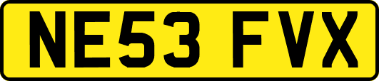 NE53FVX