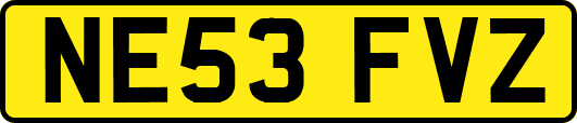 NE53FVZ